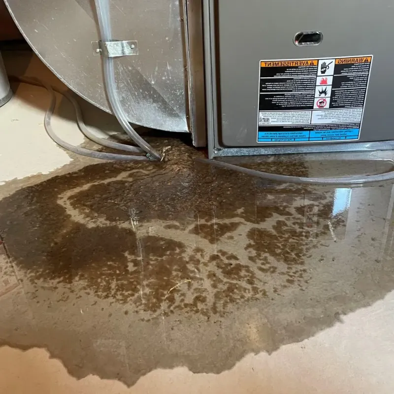 Pipe Burst and Leak Restoration in Sandy Springs, GA
