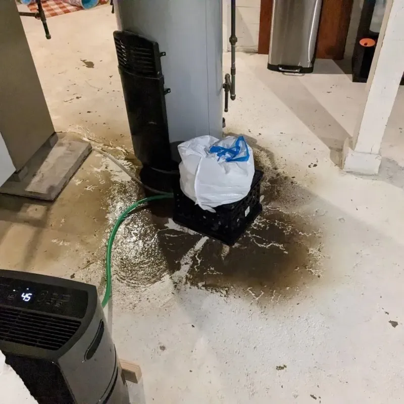 Sewage Backup Cleanup Service in Sandy Springs, GA